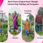 VRD Best Foods Pvt. Ltd. promoting gherkin cultivation, drip irrigation, mulching, fertigation, and rural women empowerment through farmer field visits.