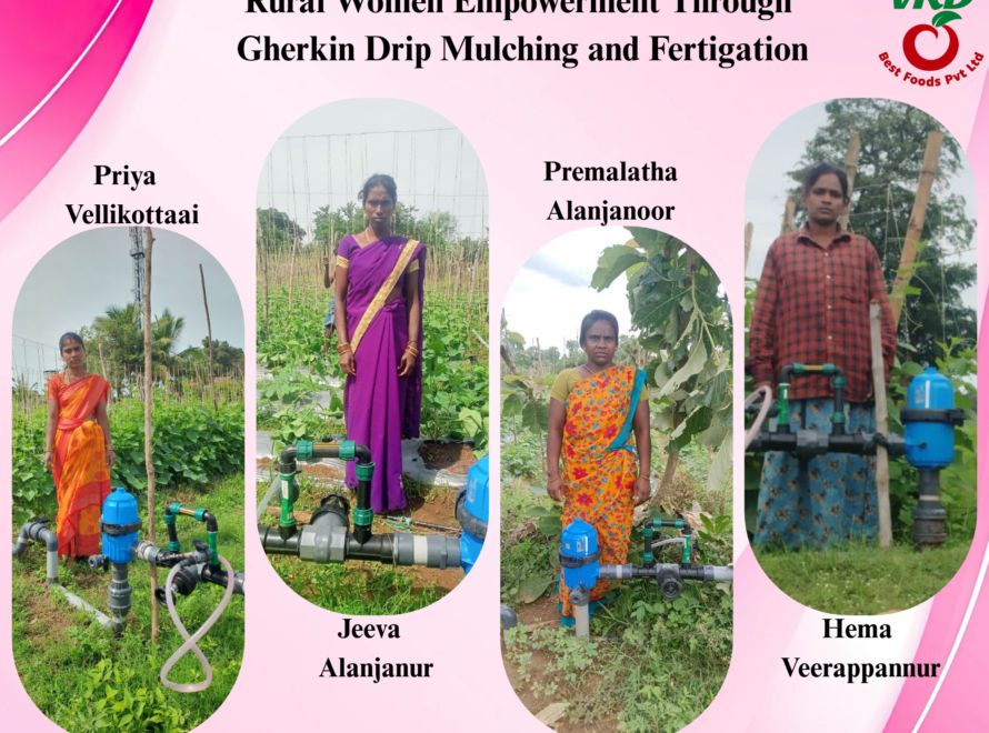 VRD Best Foods Pvt. Ltd. promoting gherkin cultivation, drip irrigation, mulching, fertigation, and rural women empowerment through farmer field visits.